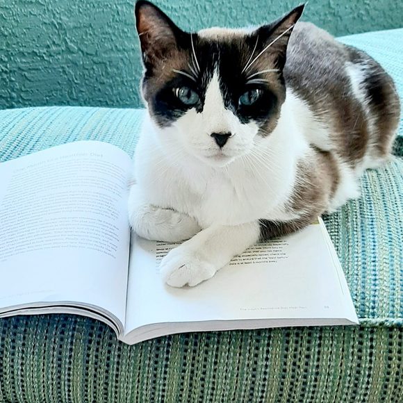 Meet your Posher, Cathy - Picture 1 of 1